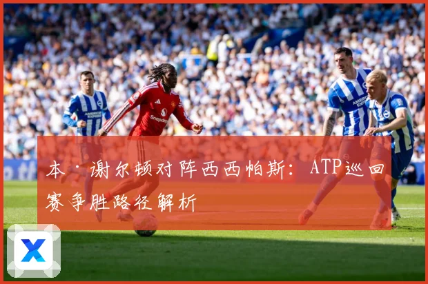 本·谢尔顿对阵西西帕斯：ATP巡回赛争胜路径解析