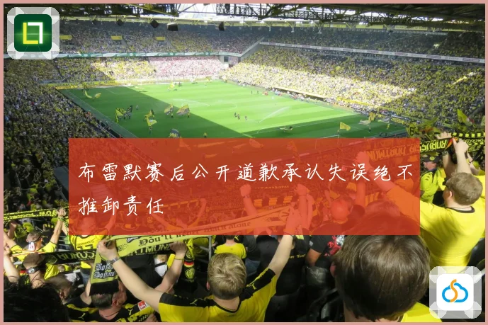 布雷默赛后公开道歉承认失误绝不推卸责任